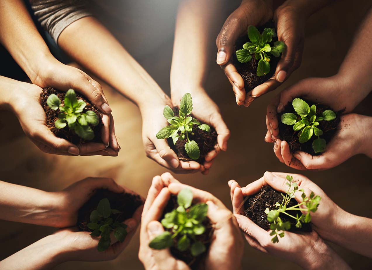 Werken bij Kinderopvang NatuurTalent Amersfoort